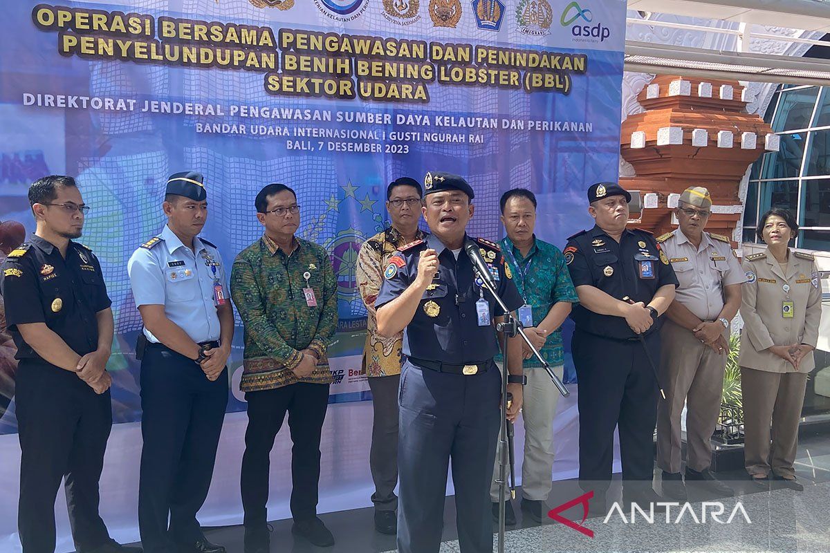 KKP cegah ekspor benih lobster lewat kerja mirip dengan Vietnam