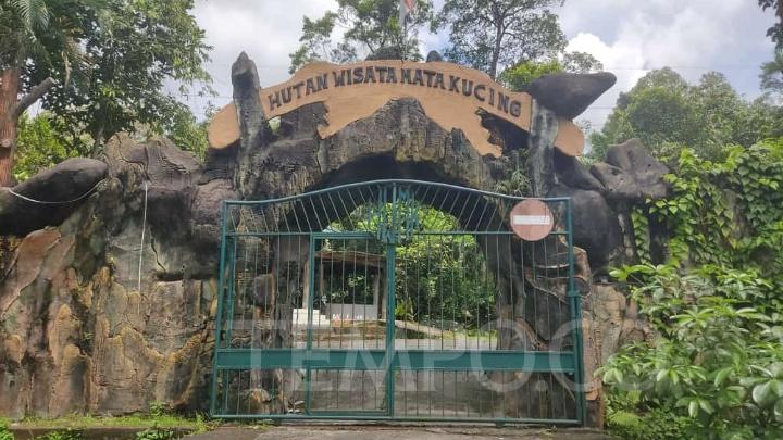 Video Viral, Pengelola Hutan Wisata Mata Kucing Batam Bantah Terlantarkan Binatang